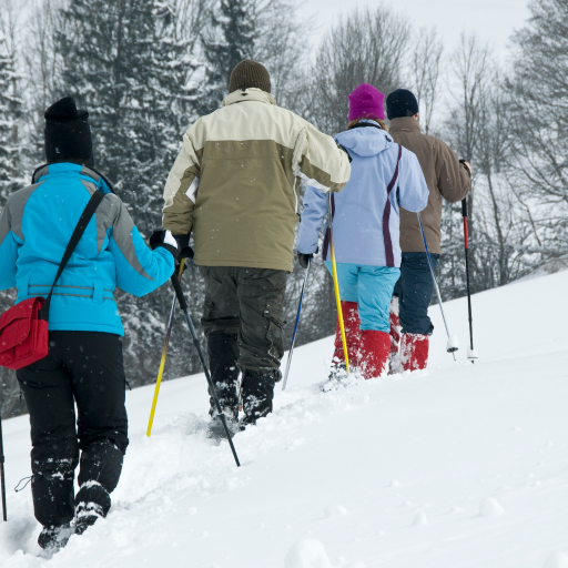 Four people snowshoeing in the woods