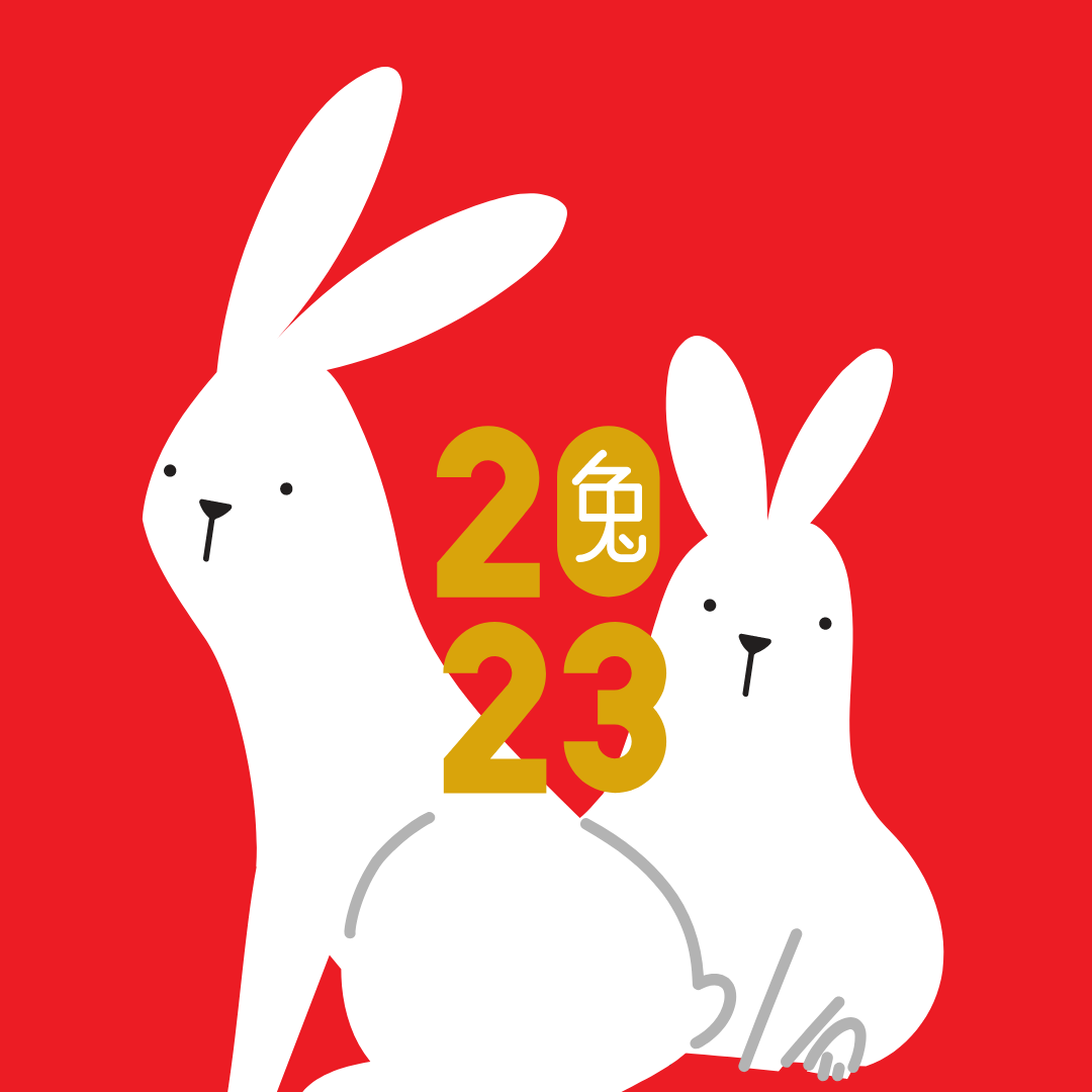 Patern with red rabbit on red background
